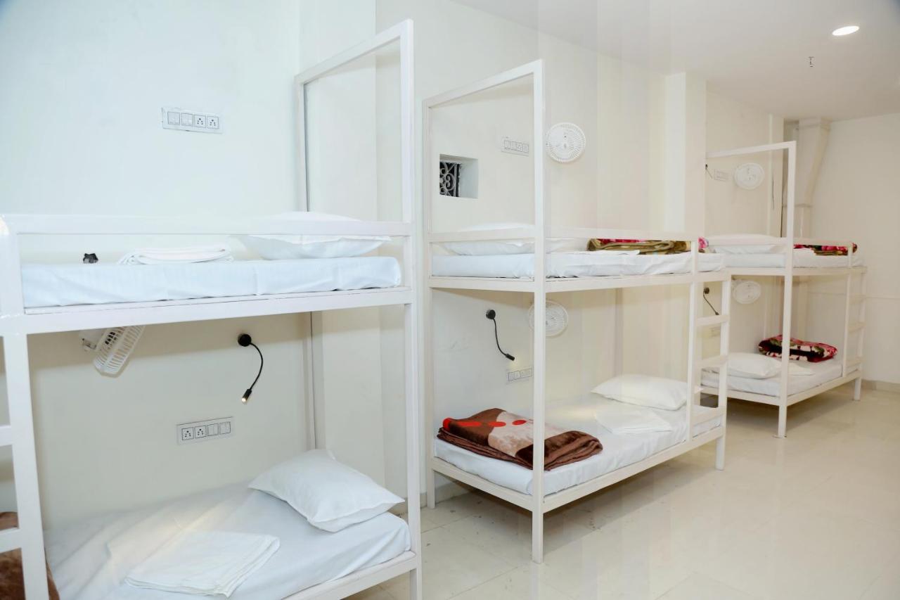 The Charlie'S Hostel New Delhi Eksteriør bilde